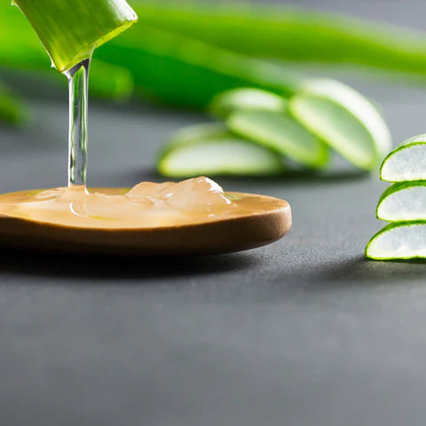 Aloe Vera For Beauty Treatment