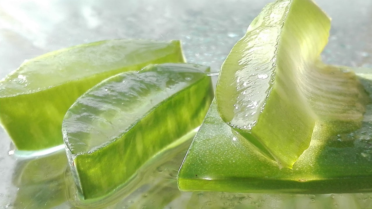 How to use raw Aloe Vera  Alogenic Certified Organic Aloe Vera Australia