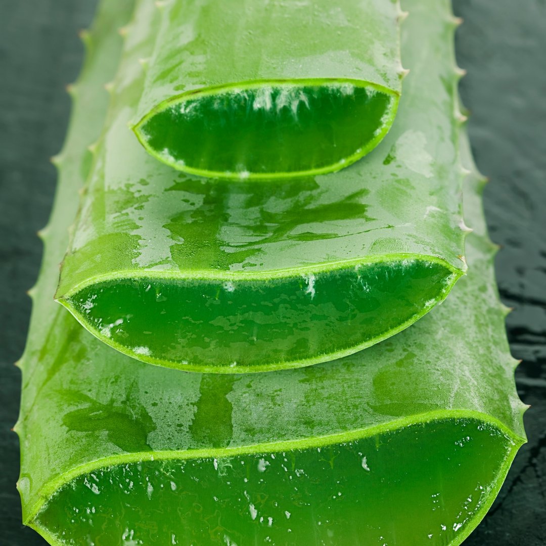 Forever Aloe Vera  Alogenic Certified Organic Aloe Vera Australia