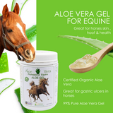 Aloe Vera Gel for Equine (99% Pure)