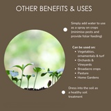 Aloe Renew B Pest Deterrent Powder