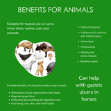 Aloe Vera Gel for Animals (99% Pure)