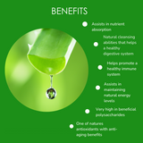 Organic Aloe Vera Inner Leaf Juice (Micropulp)