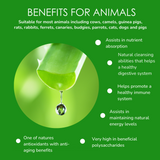 Animal Aloe Vera Inner Leaf (Micropulp) Juice