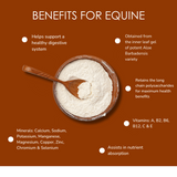 High Quality Aloe Vera Powder for Equine 200-1