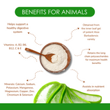 High Quality Aloe Vera Juice Powder for Animals