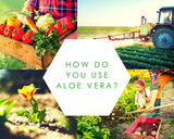 Aloe Renew A Bio Soil Improver Liquid.