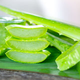 Fresh Aloe Vera 100% Pure Inner Leaf Gel Fillets