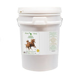 Aloe Vera Liniment for Equine
