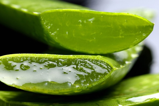 15 Benefits of Using Aloe Vera for Beauty Treatment