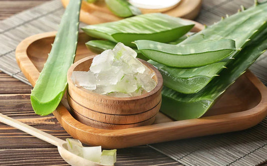 Is Aloe Vera Good with Eczema and Psoriasis: Benefits, Uses, and Safety