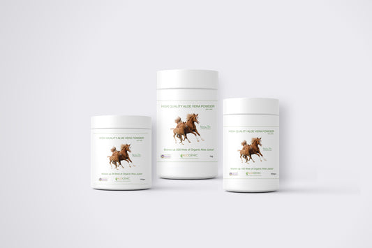 Aloe Vera for Horses – Does it Really Work?