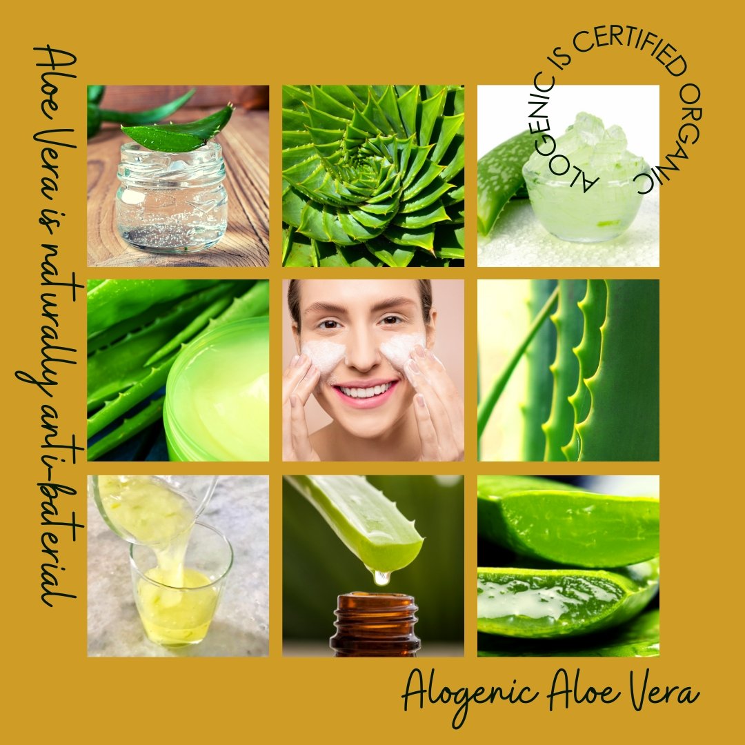 Aloe Vera for Hair Health - Alogenic