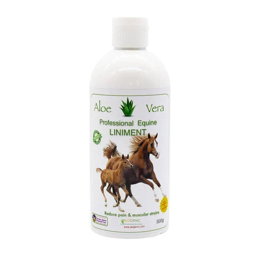 Unlock the Power of Aloe Vera Equine Liniment: Enhance Your Horse's Health and Comfort