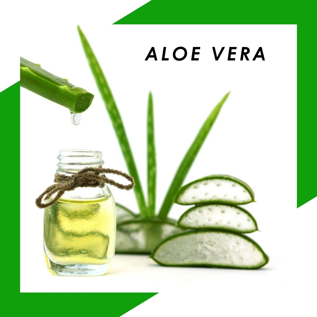 The Benefits of Aloe Vera - Alogenic