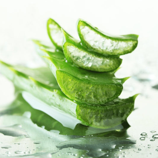 What Aloe Vera Contains? - Alogenic