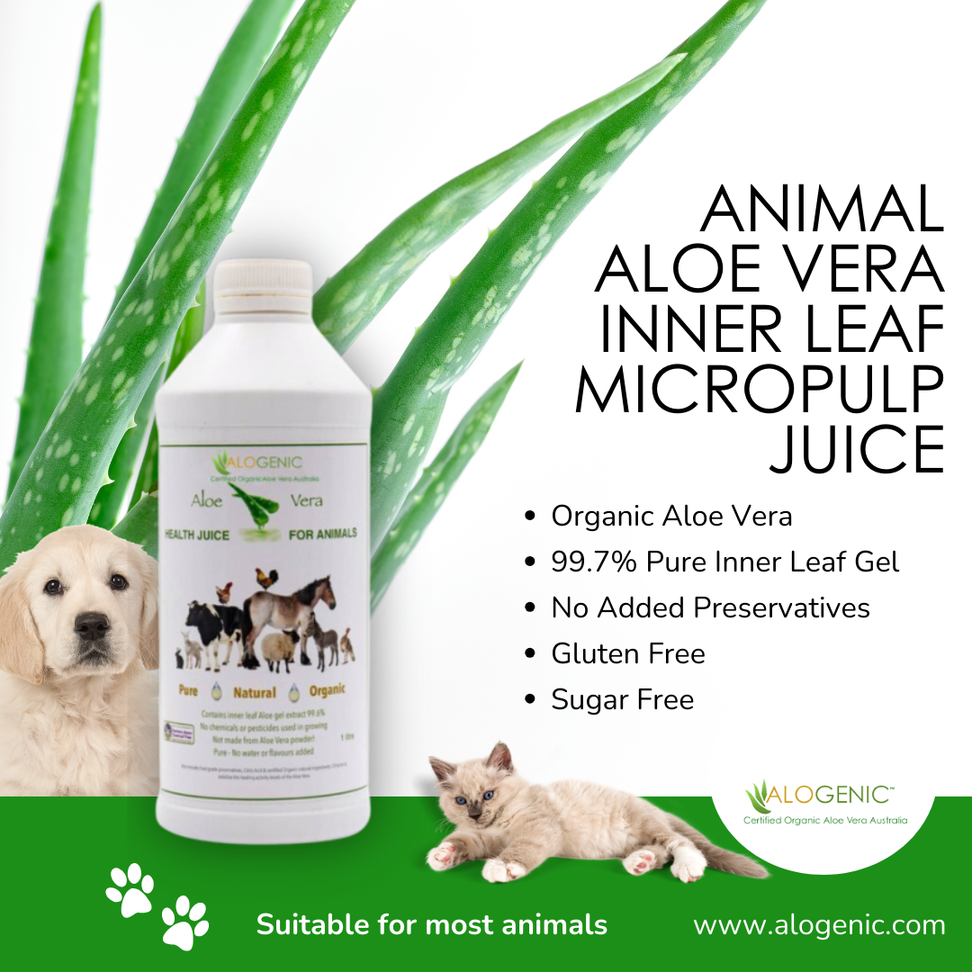 Aloe vera juice for cat constipation best sale