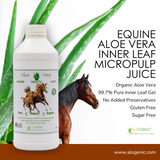 Equine Aloe Vera Inner Leaf (Micropulp) Juice