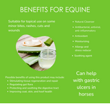 Aloe Vera Gel for Equine (99% Pure)