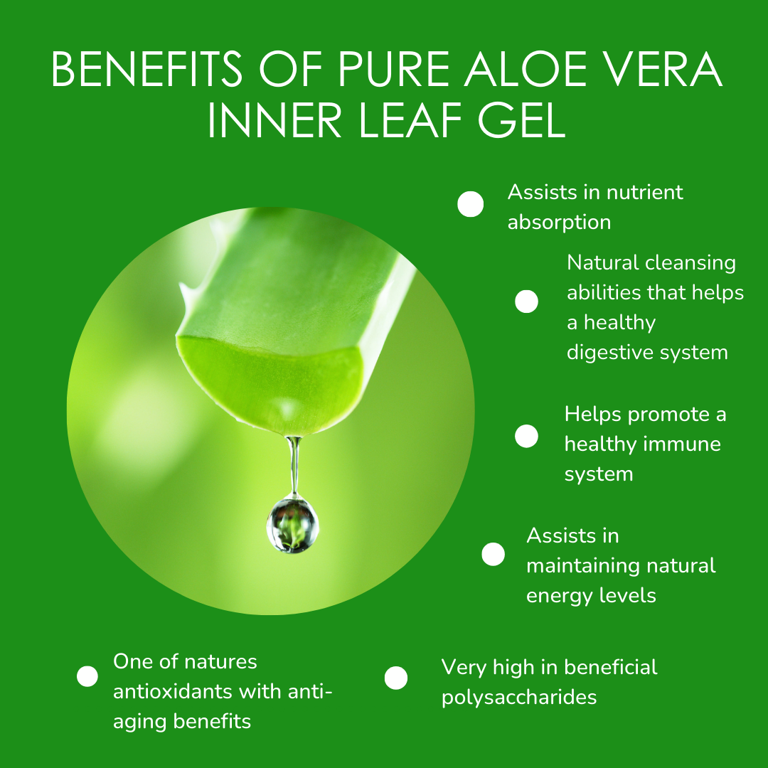 Fresh Aloe Vera Pure Inner Leaf Gel Fillets Organic Alogenic