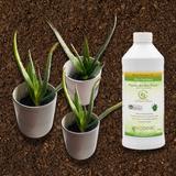 Organic Aloe Vera Plant Pack (Medicinal) (3 x Small & Medium Size) & 1 Litre Bio-fertilizer