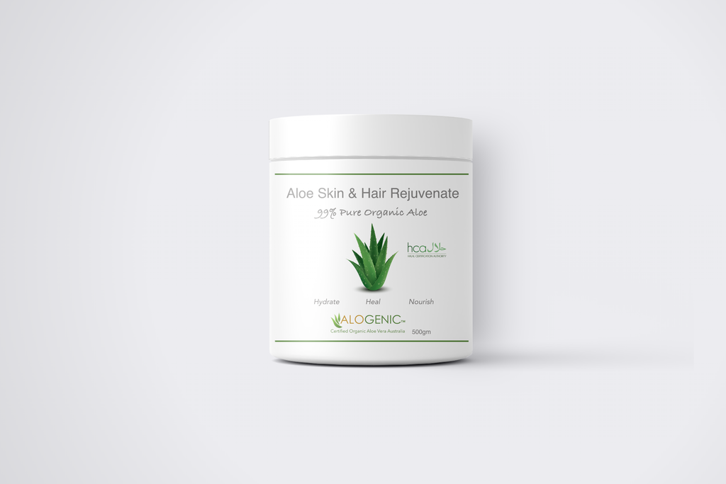 buy aloe vera leaf ALOE VERA 'Large-Leaf' --Aloe barbadensis-- main image 1