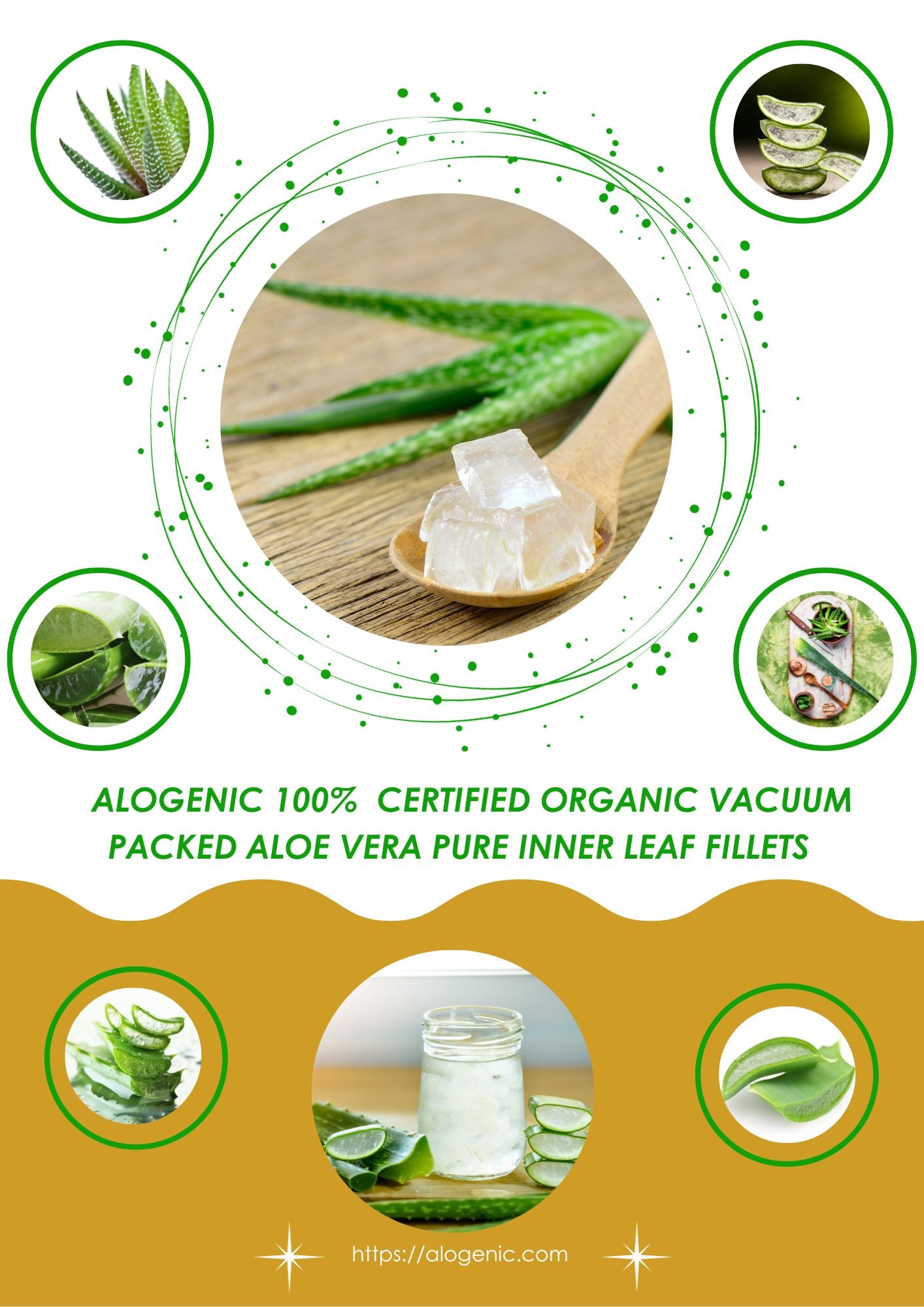 Fresh Aloe Vera Pure Inner Leaf Gel Fillets Organic Alogenic