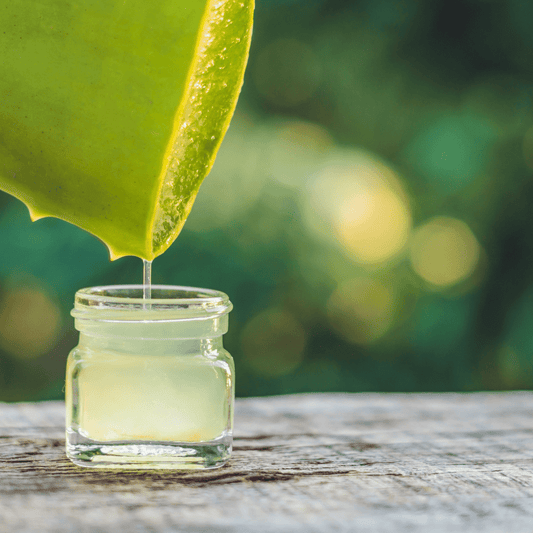 Aloe vera gel pouring from a cut leaf into a small jar