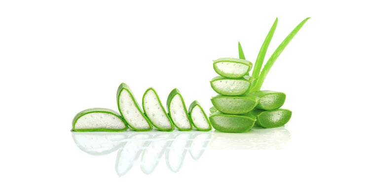 Sliced up Aloe Vera leaves