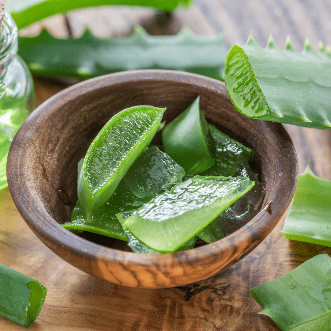 The History of Aloe Vera - Alogenic Alogenic Certified Organic Aloe Vera Australia The History of Aloe Vera - Alogenic Alogenic Certified Organic Aloe Vera Australia