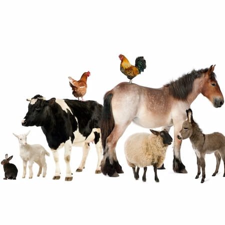 Aloe Vera powder supplier Aloe Vera powder supplier