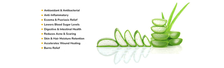 Image of Aloe Vera cut up and benefits listed at the side